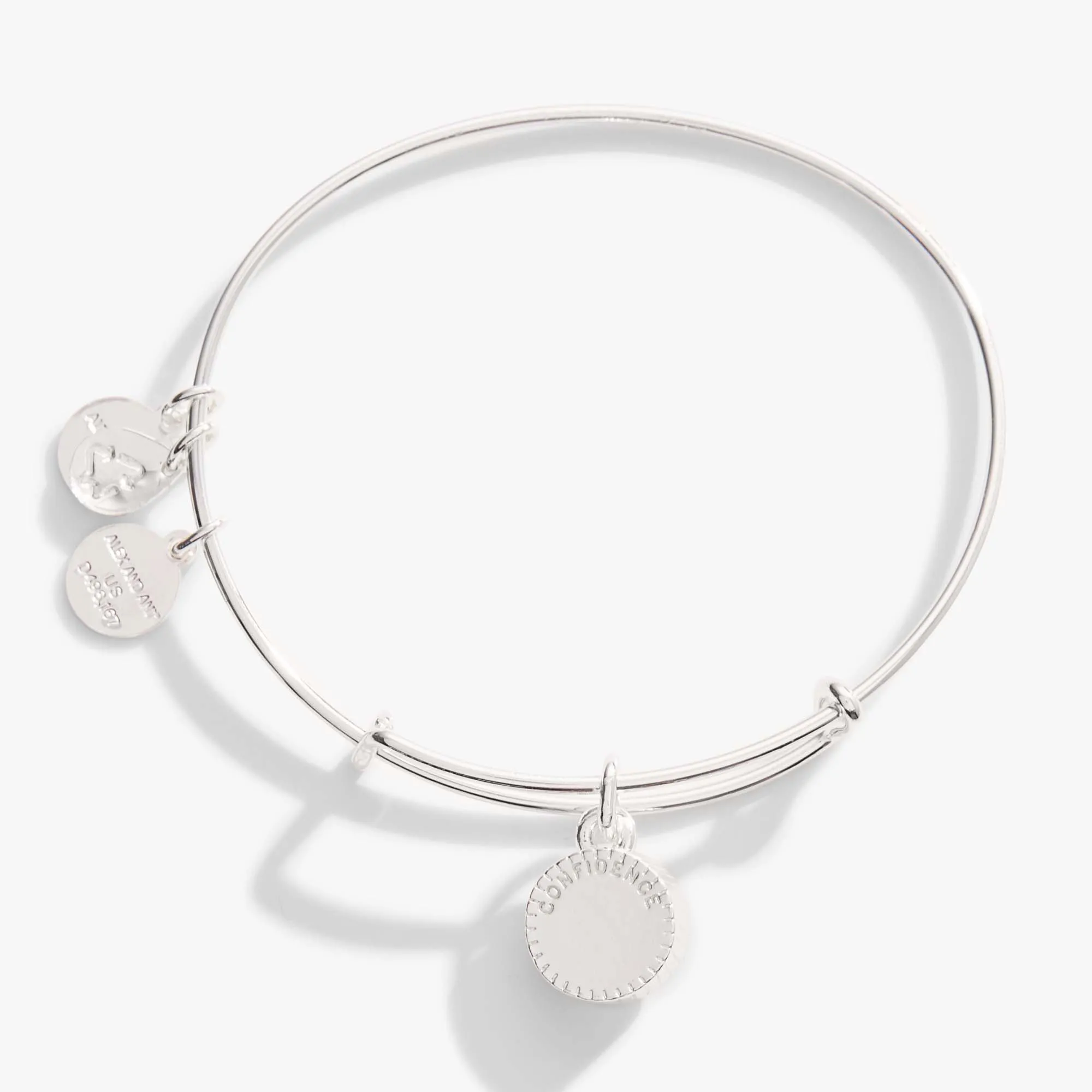 June Birthstone Charm Bangle, Light Amethyst