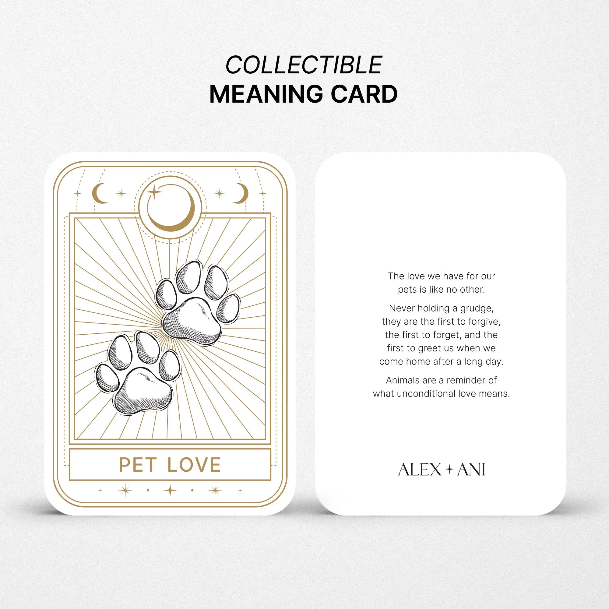 Paws of Love Bracelet Set of 3